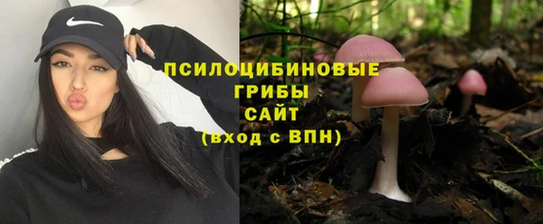 PSILOCYBIN Валдай