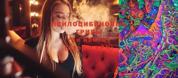 мескалин Елабуга