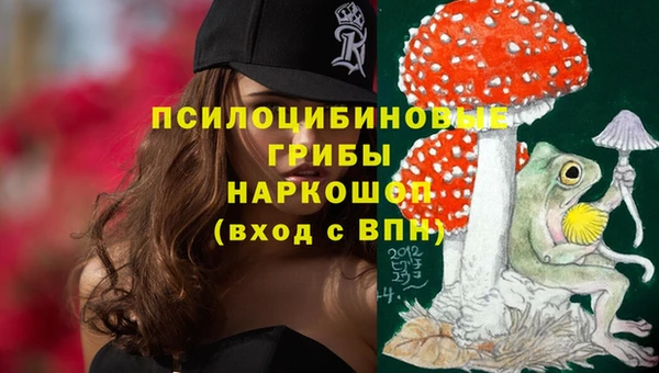 ешки Елизово