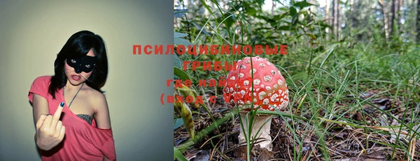 ешки Елизово